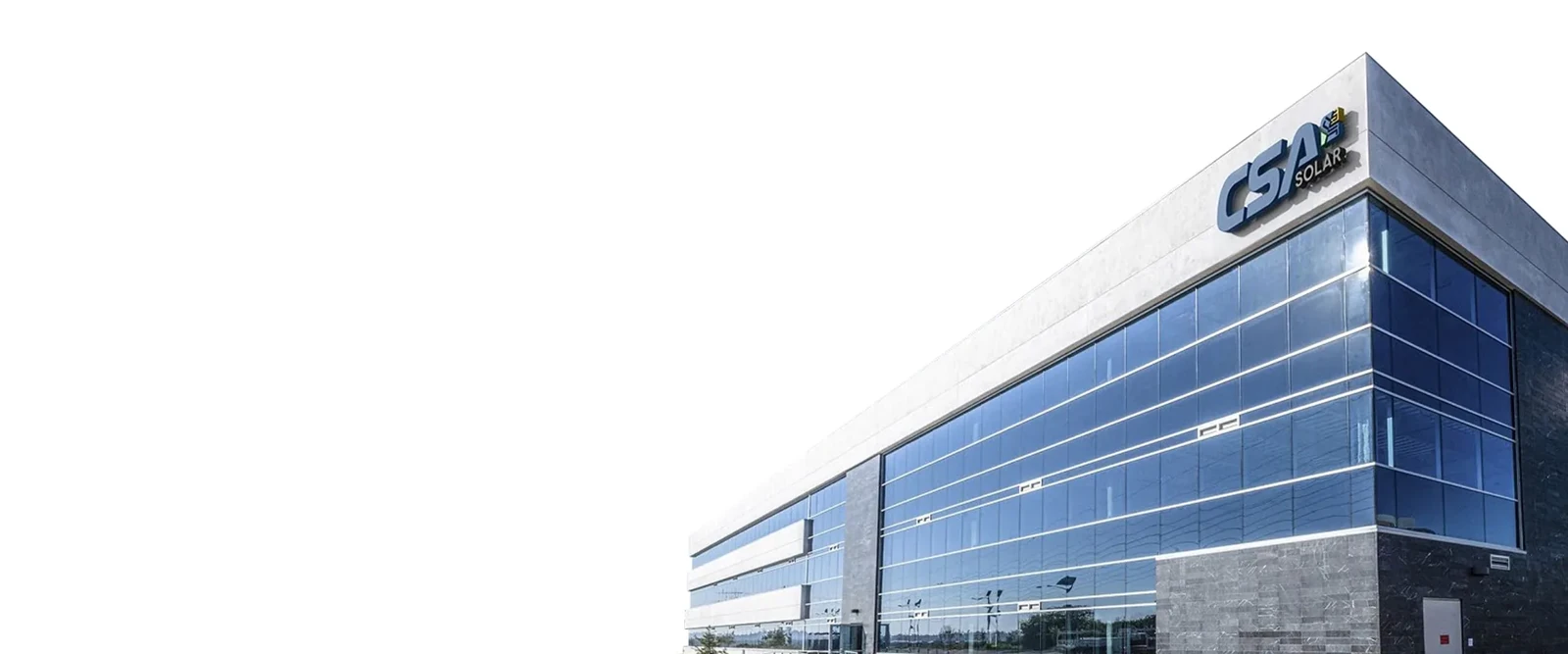 Company identity