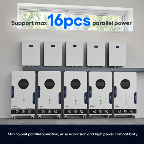 LiFePO4 (Lithium Iron Phosphate) Battery-6